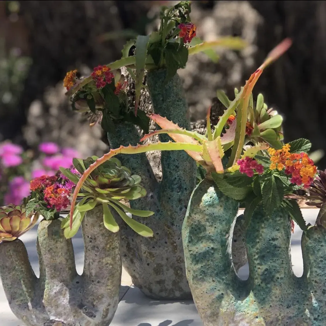 Table settings at Finca Legado