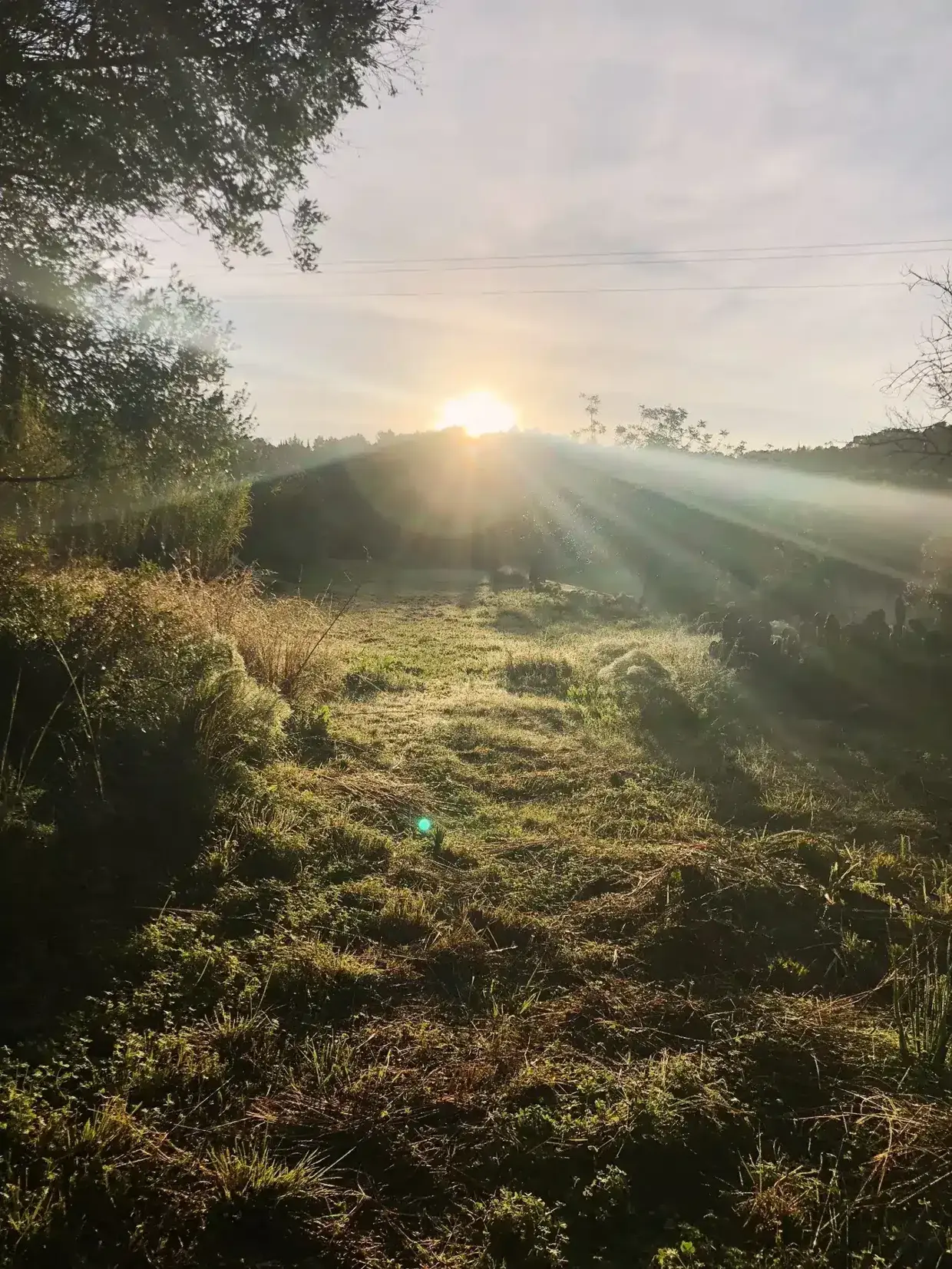 Sonnenaufgang über Finca Legado