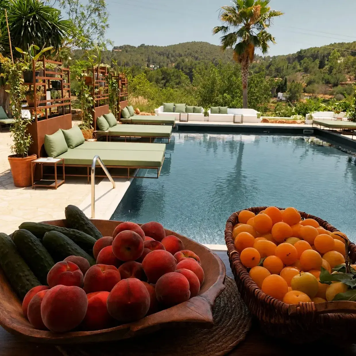 Legado pool bar with fresh garden fruit and view of the pool loungers