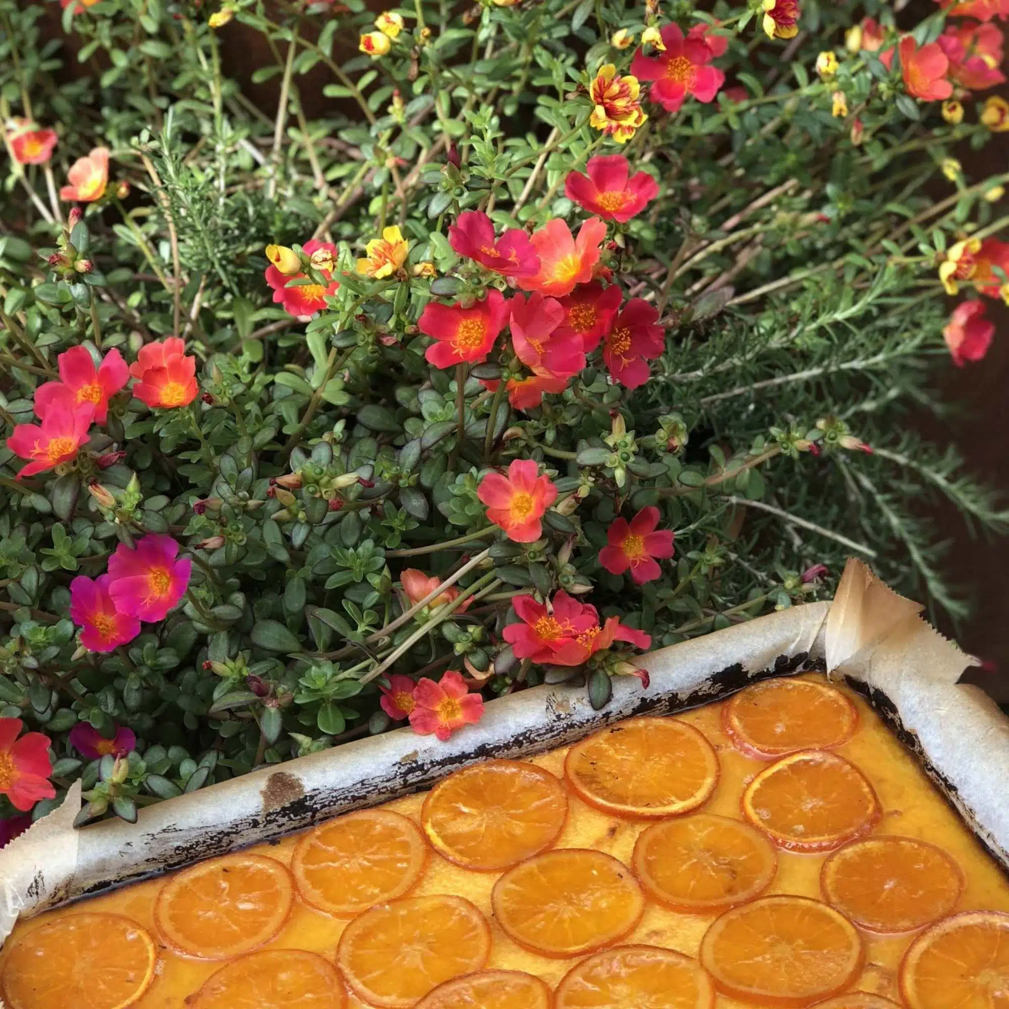 Orange cake with produce from the island