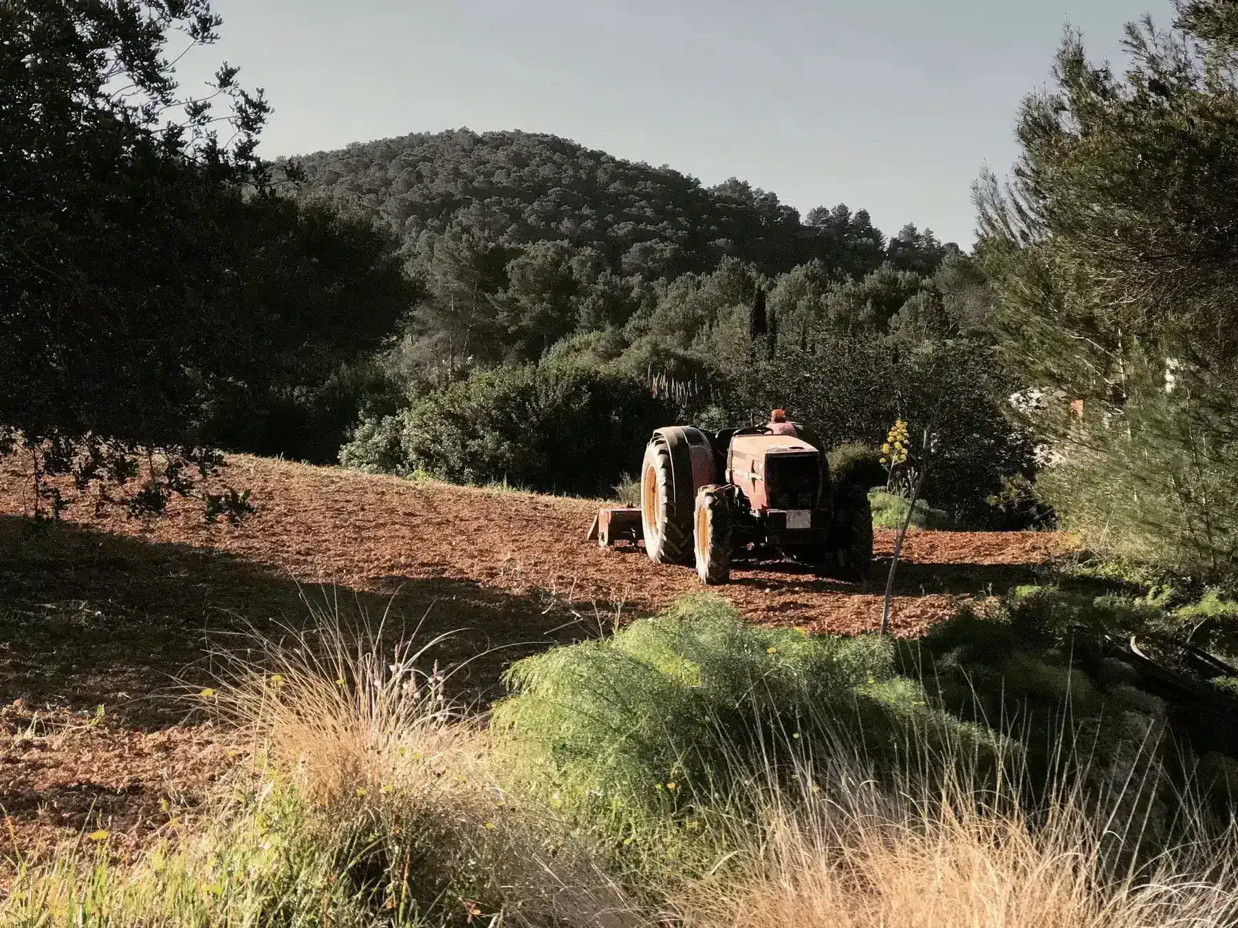 Traktor pflûgt die Felder der Finca Legado